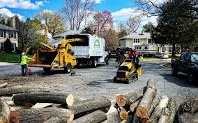 Best Storm Damage Tree Cleanup  in Lake Butler, FL